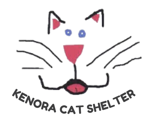 Kenora Cat Shelter